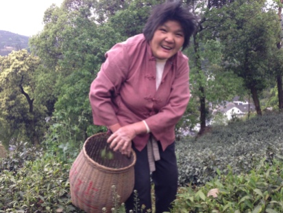 Madame Xu's tea picker